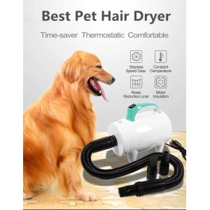 China Cleaning Tool ABS 600W Heating 20m/s Dog Hair Dryer on sale