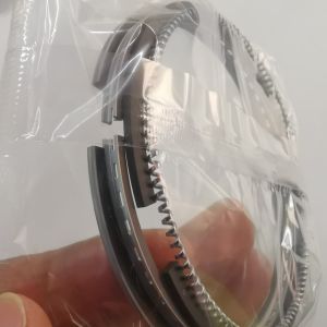 4D95 Diesel Engine Piston Ring 4 Cycles 6204-31-2200