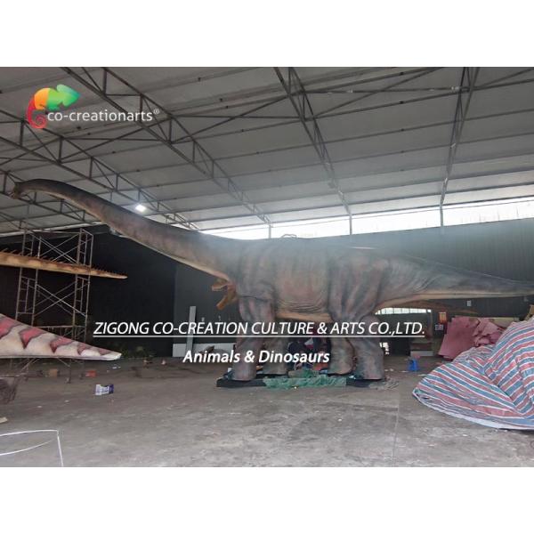 26Meters Life Size Animatronic Dinosaurs Diplodocus Giant For Jurassic Park