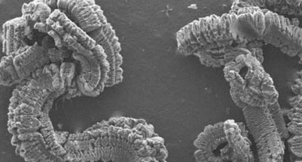 5% Ash Expanded Graphite Powder 250ml/G High Expansion Rate For Metallurgical Industry