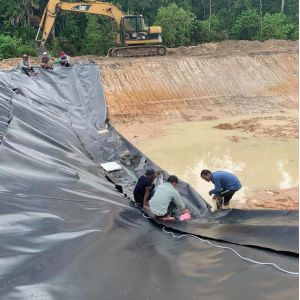 Smooth HDPE Geomembrane for Pond Liner Fish Farm Made of 100% Virgin Material
