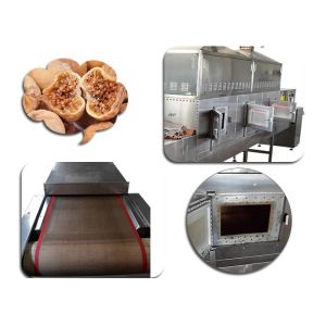 Quality Controlling System Fig Food Sterilization Equipment Microwave Stable Performance for sale
