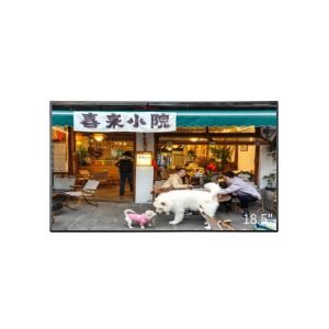 18.5 Inch IPS LCD Displays 1920x1080 Resolution HD TFT Display With LVDS Dual