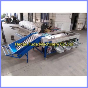 Quality potato grading machine, potato sorting machine for sale