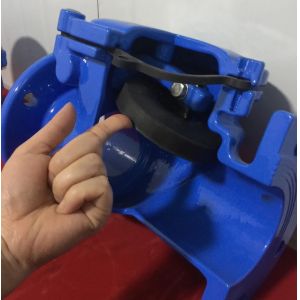 dn100 pn16 ggg50 din check valve