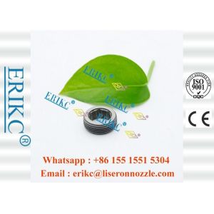 ERIKC F00VC13002 Bosch 110 series control valve Inner screw F 00V C13 002