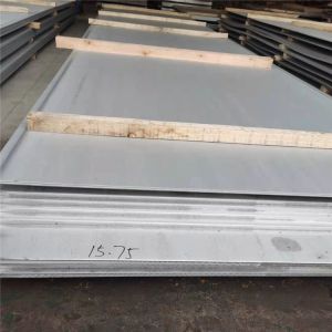 Standard 5mm Thickness No.1 Surface Stainless Steel Sheet