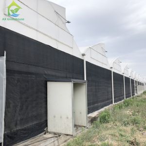 Nursery Custom 100% Blackout Light Deprivation Agricultural Mushroom Greenhouse