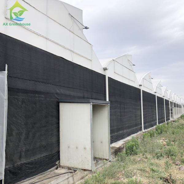 Nursery Custom 100% Blackout Light Deprivation Agricultural Mushroom Greenhouse