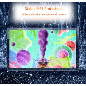 55" 4K Ultra Slim LCD Display TNI Panel IP65 Outdoor All Weatherproof Media