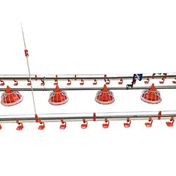 Galvanized Chicken Raising Equipment Poultry Drinking Line Raised Chicken