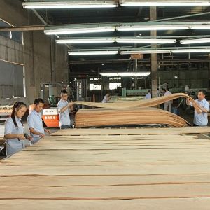 Add Elegance To Space Maple Veneer Panels Flocculent Shadows Texture Manifestati