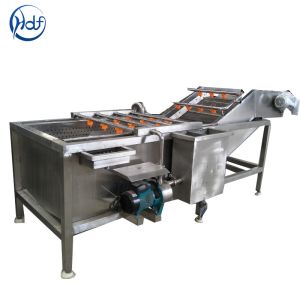 Fruit Vegetable Washing Equipment Lettuce Cleaning Machine