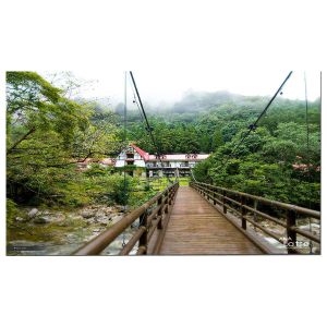 LM215WFA-SSG1 21.5 inch Touch LCD Display