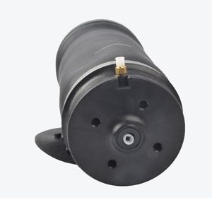 Auto Parts Air Suspension Kit For W164 ML Rear Air Spring 1643200625 2923200525