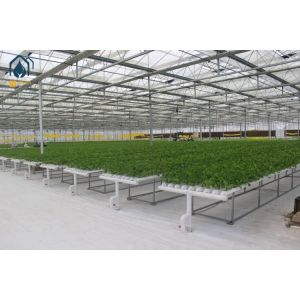 Commercial Multi Span Large Scale Greenhouse With Automatic Watering System