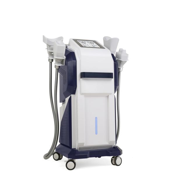 Fat Removal Cryolipolysis Fat Freeze Slimming Machine EMS Cryo Body Sculpting