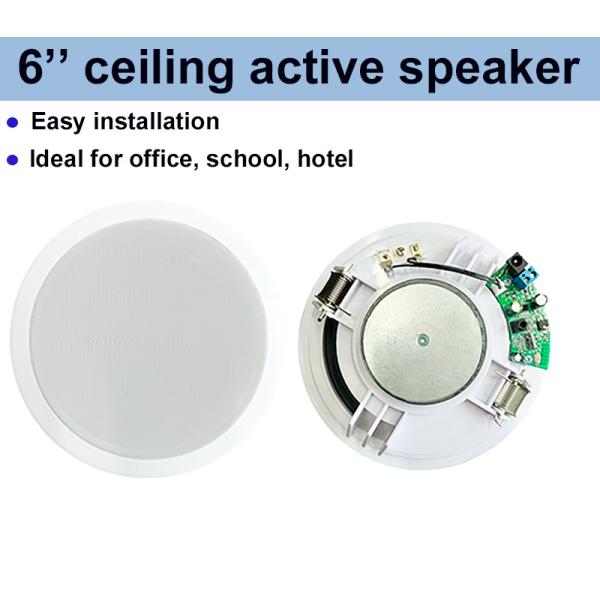 Oval 6 Inch Ceiling Active Speaker ABS Dual Cone 4×10W OEM ODM