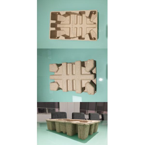 Auto Paper Pulp Moulding Machine Two Stations 100~150 kg/h Capacity