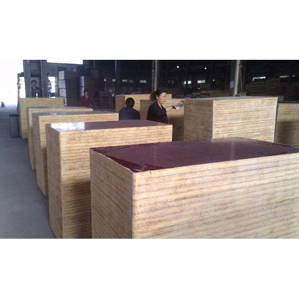 2345_image_file_copy_1