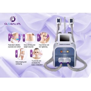 Weight Loss Salon Equipment Portable Fat Freezing Cryotherapy Cryolipolysis