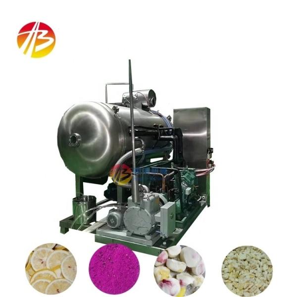 Buy Fruit and Vegetable Meat Vacuum Freeze Drying Equipment for Pet Food 10kg per Batch at wholesale prices