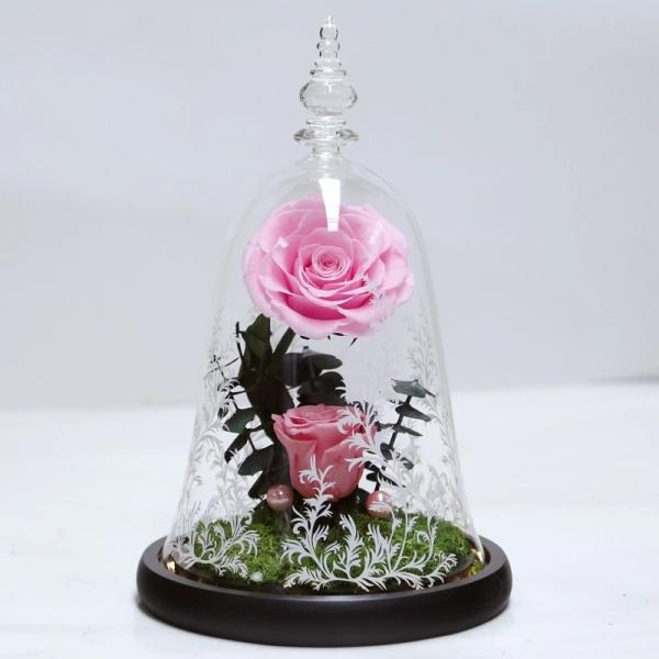 Beauty and the beast roses valentines day real preserved rose in glass that lasting 3 years