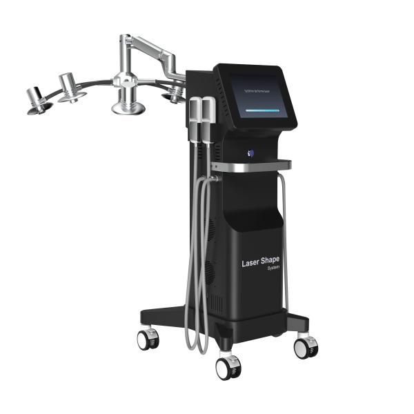 Buy Paddle Size Large Lipo Laser Slimming Machine with 800W Power at wholesale prices