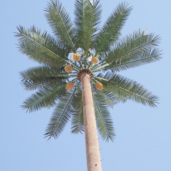 Buy 30 Meters Gsm Palm Tree Camouflage Cell Tower at wholesale prices