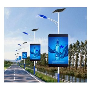Display customized size LED display lamp post single panel and double panel