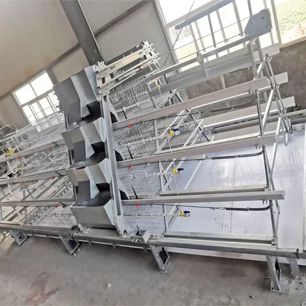 Buy Broiler Meat Galvanized Chicken Cage 13 Chicks/Cell Automatic Feeding at wholesale prices