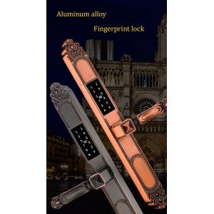Multi-function Zinc Alloy Outdoor Door Lock with Double Side Fingerprint and