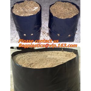 vegetables, fruits, seeds, bedding plants, tomatoes, peppers, cucumbers, tree