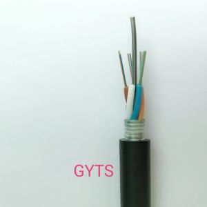 8 12 144 Core Outdoor Fiber Optic Cable Steel Tape Armored G652d Gyts Communicat