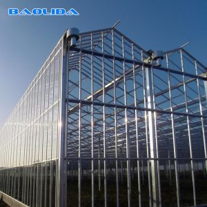 Multi Span Venlo Glass Greenhouse 140mm/H Capacity ISO9001 Certificated