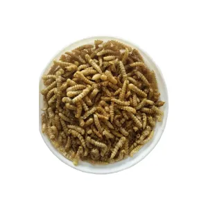 Quality Healthy and Nutritious Worm Meal for Amphibians in Powder Form for sale