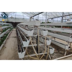 Quality Modern Agricultural Strawberry Growing Troughs Greenhouse PVC Hydroponic Grow Equipment for sale