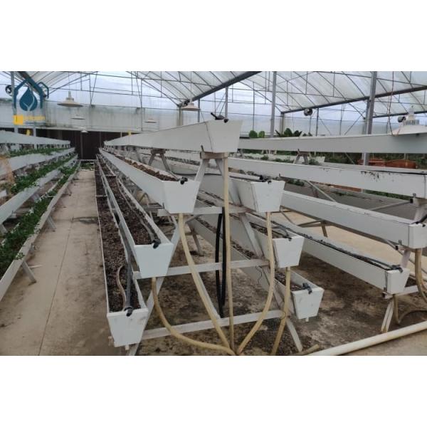 Modern Agricultural Strawberry Growing Troughs Greenhouse PVC Hydroponic Grow
