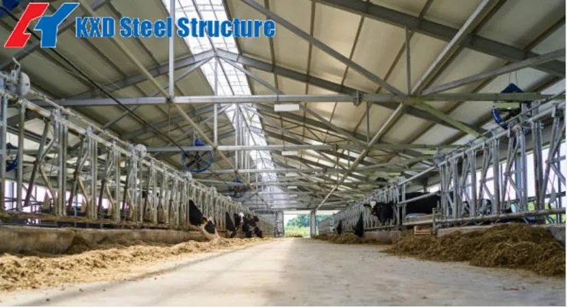 Prefab Fast Installed Steel Structure Building Wind-Resistant Pre-Engineered Steel Cowshed