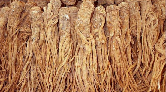 100% natural Gentian root Extract Gentiopicrin 10% powder