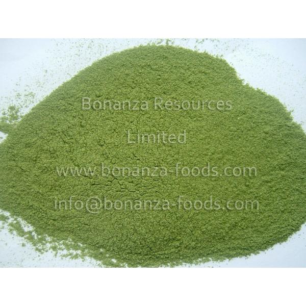 Buy Freeze Dried Leek Powder/Bulk Packaging dried leek/HACCP certified/Kosher/free sample at wholesale prices