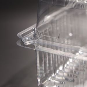 Multi Purpose Plastic Food Container Disposable Takeaway Food Containers With