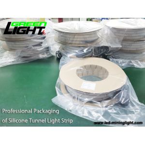 IP68 6500K SMD5050 Waterproof Led Strip Lights 12V RGB ATEX