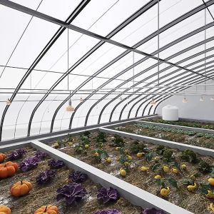 Shading and Ventilation Tomato Cultivation System for 40HQ Reefer Container