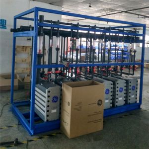 Electrodeionization EDI RO Di Water System Purifier Plant Deionized Water
