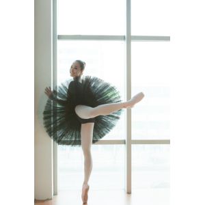 Adult Nylon hard yarn ballet dance tutu skirt