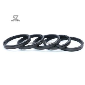 Piston Seal Kit SPGW for Working Tempereture -40--120C
