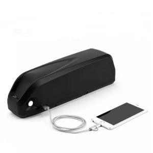 LiFePO4 Lithium Battery OEM ODM 24V 36V 60V 72V 30AH 60AH 80AH 120AH Lithium Ion