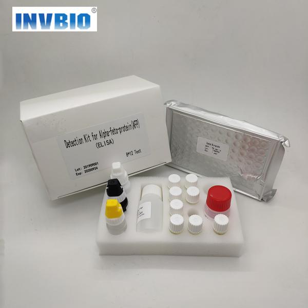 Buy Human Free Thyroxine Ft4 Elisa Test Kit Easy To Use at wholesale prices