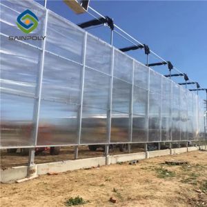 Hot Dipped Galvanized Steel 7.5m Polycarbonate Greenhouse